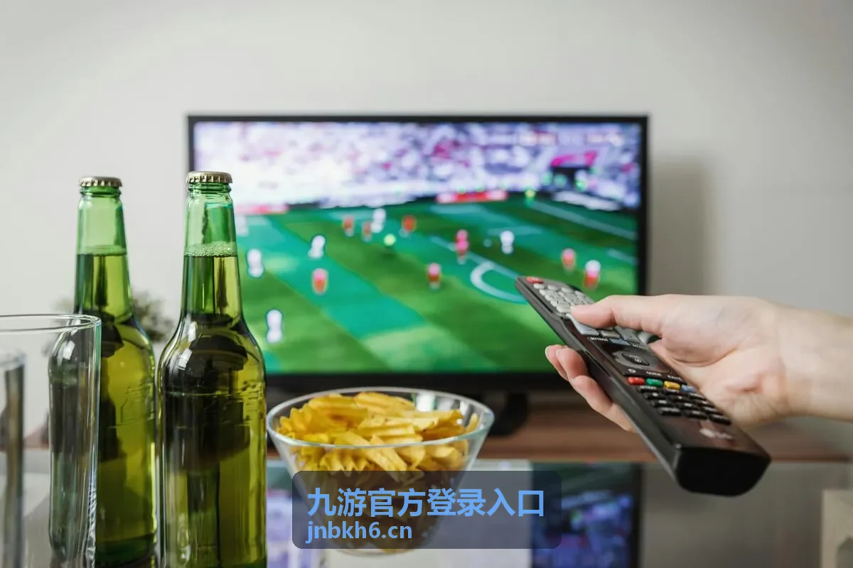 九游官方登录入口网页端登录通道的验证环节示意