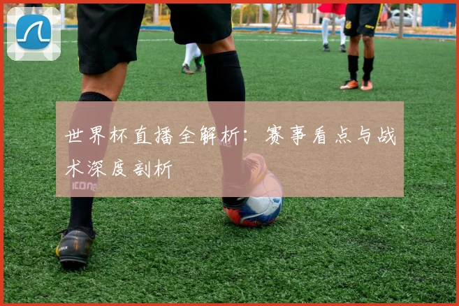 世界杯直播全解析：赛事看点与战术深度剖析