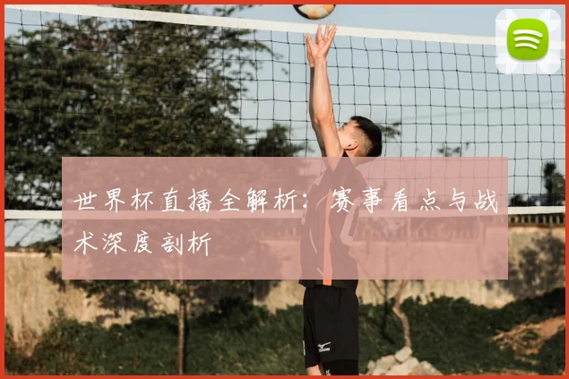 世界杯直播全解析：赛事看点与战术深度剖析