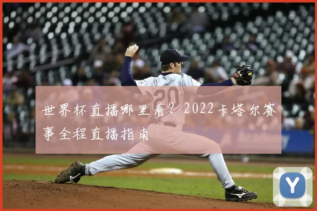 世界杯直播哪里看？2022卡塔尔赛事全程直播指南