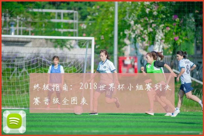 终极指南：2018世界杯小组赛到决赛晋级全图表